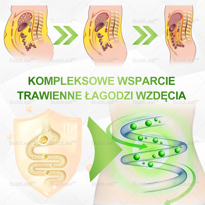 🍃Oficjalny sklep w Polsce | ♻️BuildLeaf® Tyrzepatyd GLP-1 Krople odchudzające i wspomagające zdrowie – 👩‍⚕️Spożywczej jakości spalacz tłuszczu opracowany przez Polskie Towarzystwo Leczenia Otyłości
