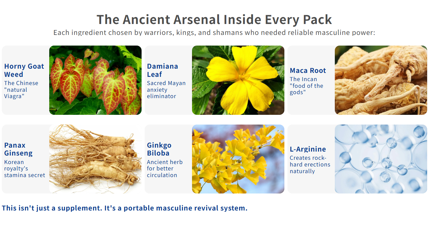 AAFQ® Male Power Drops - 2025 Upgrade image AAFQ® Male Power Drops - 2025 Upgrade